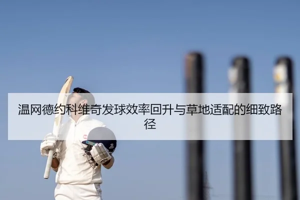 温网德约科维奇发球效率回升与草地适配的细致路径