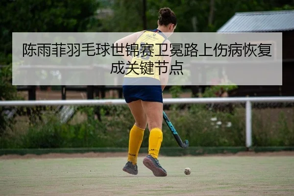 chen-yu-fei-yu-mao-qiu-shi-jin-sai-wei-mian-lu-shang-shang-bing-hui-fu-cheng-guan-jian-jie-dian-2-230.jpg